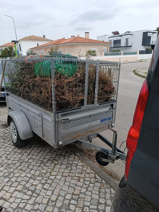 Limpeza e manutenção de jardins