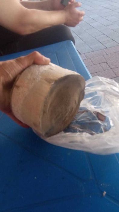 Каталізатор, сажевий, здати, викуп, скупка куплю, сажевый дорого