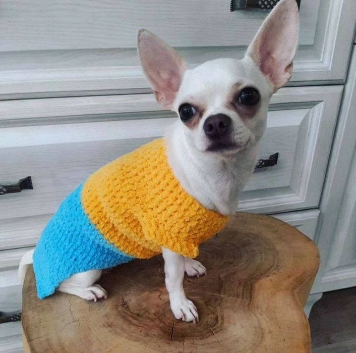 Вязаная одежда для собак, сфинксов, котов, свитера на собак