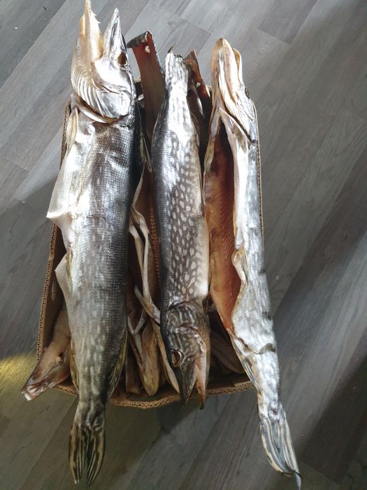 Тарань щука Лящь сушена з ікрою. Плотва вобла Синець