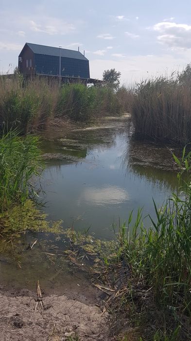 Продам участки с выходом в реку в Беляевке