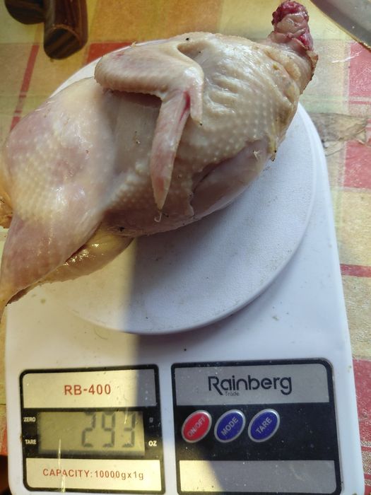 Продам перепілок