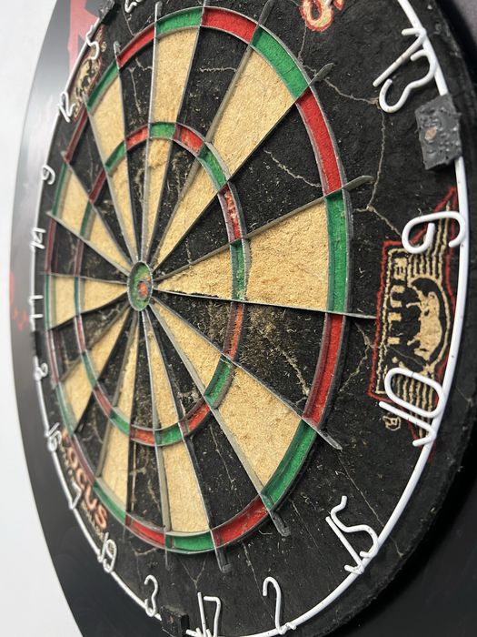 Tarcza dart sizalowa Bulls focus