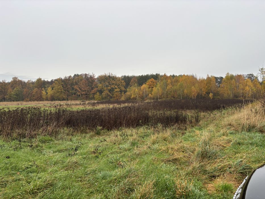 Sprzedam pole orne 1 ha