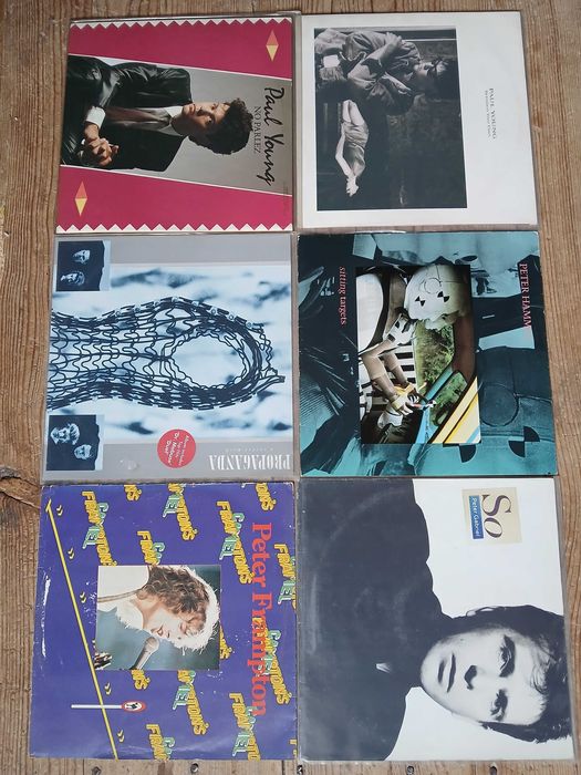 COLEÇÃO Vinil lp  P