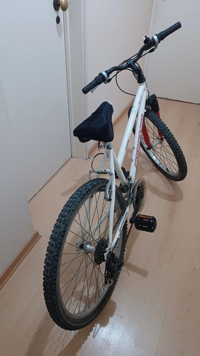 Bicicleta de montanha