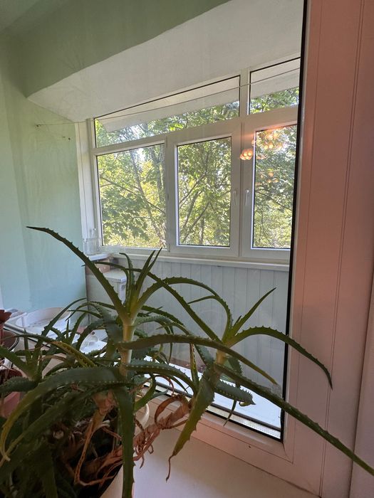 Чотирикімнатна квартира район Варуса та АТБ