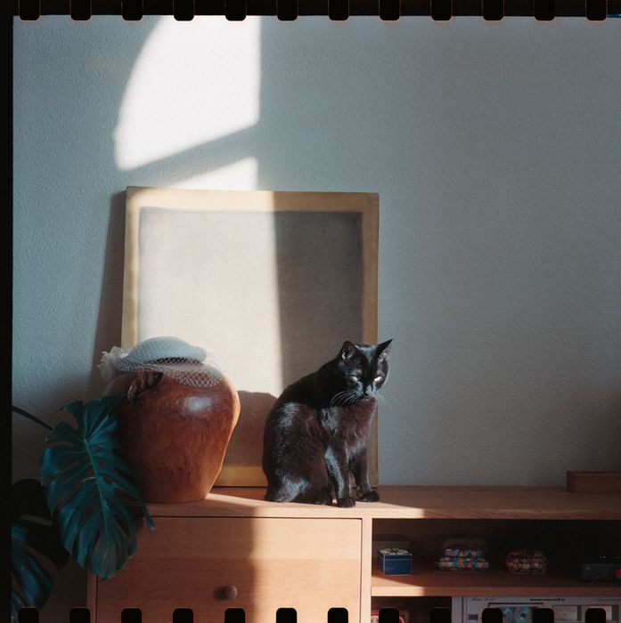 Super Fujica-6 - плівкова середньоформатна фотокамера