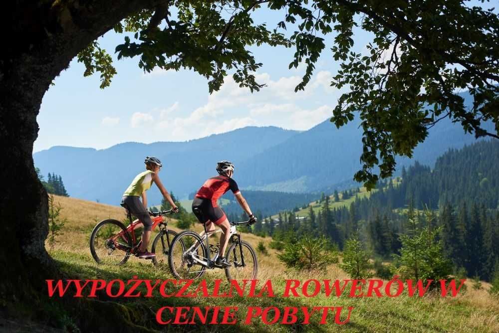 Apartament Domek Nastrojowy LOVE SPA JAUCUZZI w pokoju na wyłączność na życzenie śniadanie do pokoju strefa grill wypoczynek jacuzzi  rowery E-bike