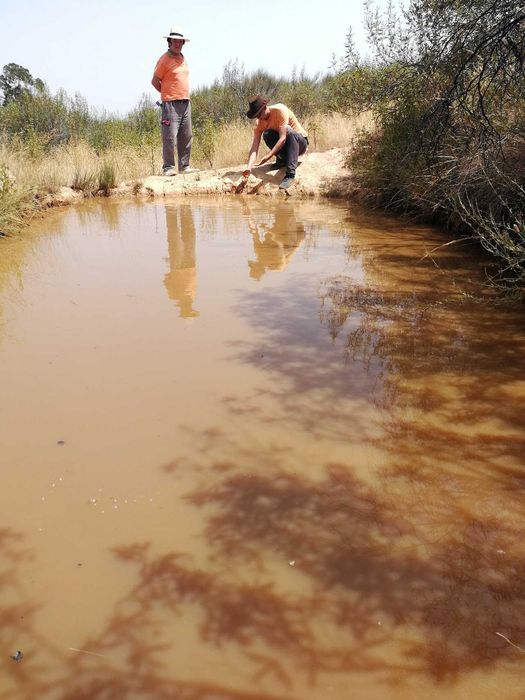 Oportunidade no Alto Alentejo - 26ha em Montalvão, perto da nova ponte