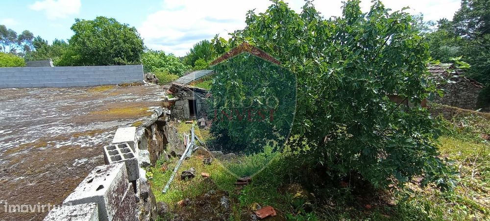 Terreno  Venda em Boa Aldeia, Farminhão e Torredeita,Viseu