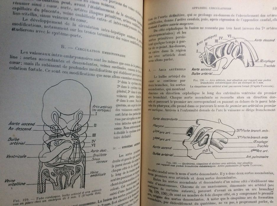Leçons d'Embryologie Humaine, 1929. Raro