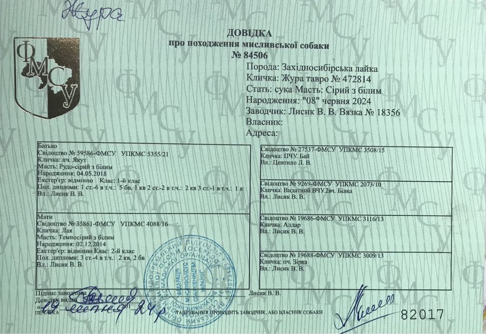 Продаються цуценята ЗСЛ.