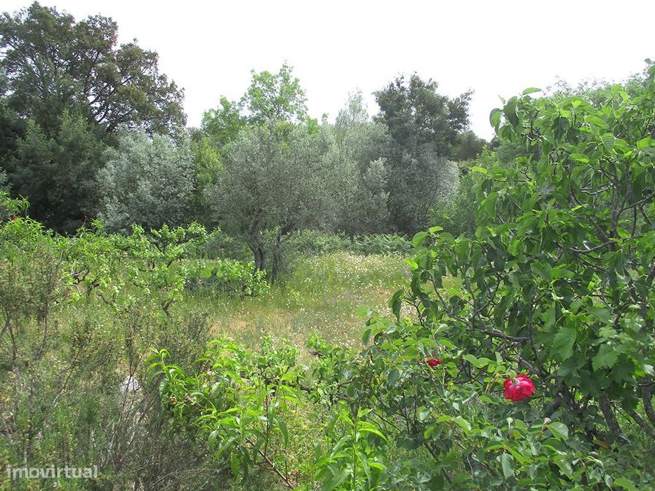 Quinta