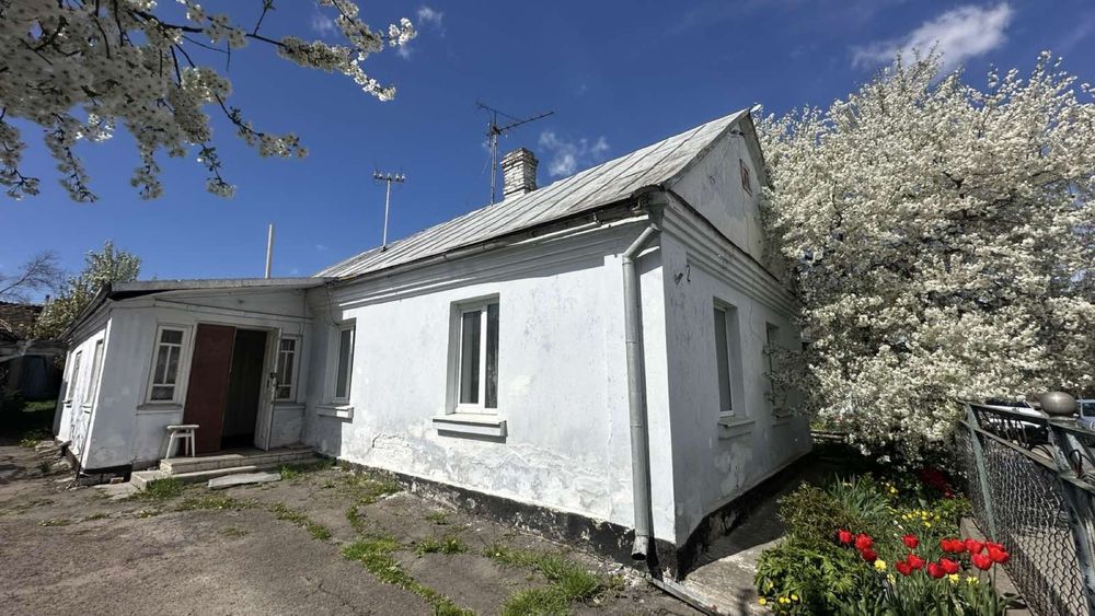 Продаж будинку на Дворецькій