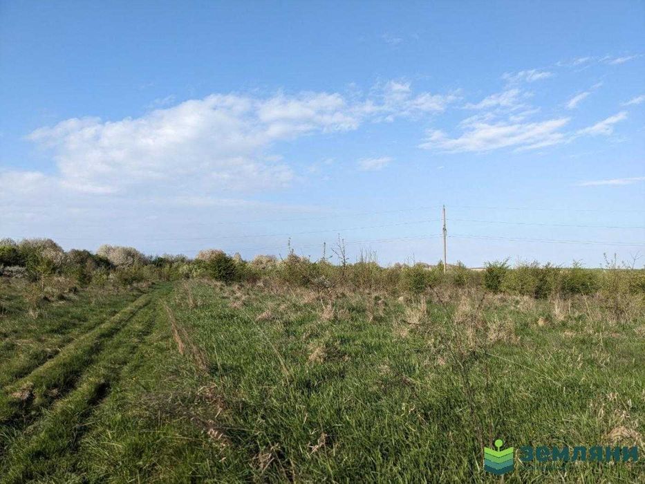 Продається ділянка під будову 14.33 сот Тязів (8)