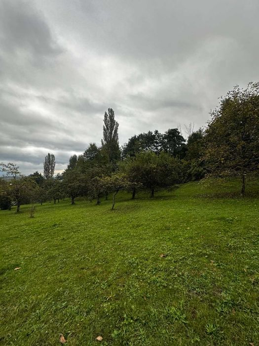 Продається будинок в с. Липовець, Хустський рн