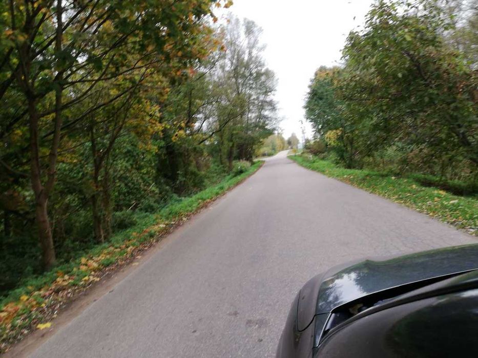 Działka w Lisewie,7300m2,BEZPOŚREDNIO!