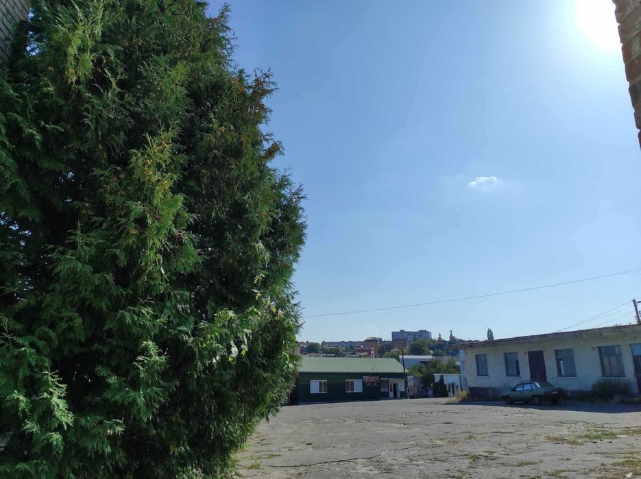 Комерційне приміщення на центральному ринку Жмеринки