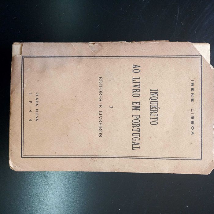Inquérito ao livro em Portugal I de Irene Lisboa