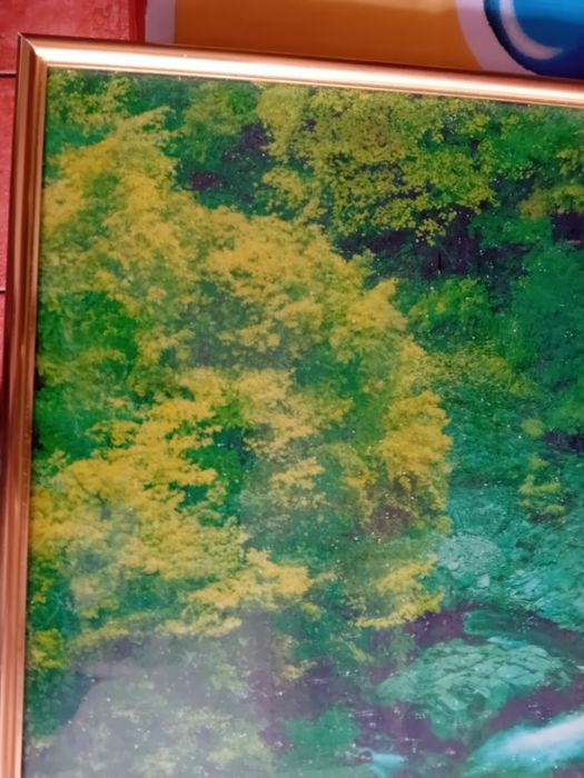 Quadro Decorativo