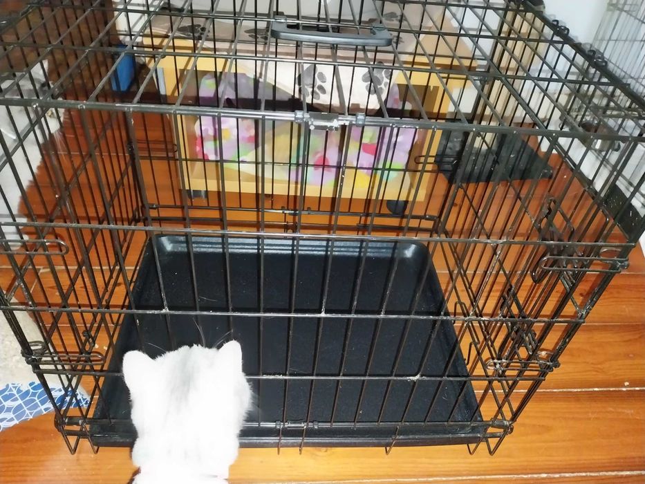 Jaula pequena - nova