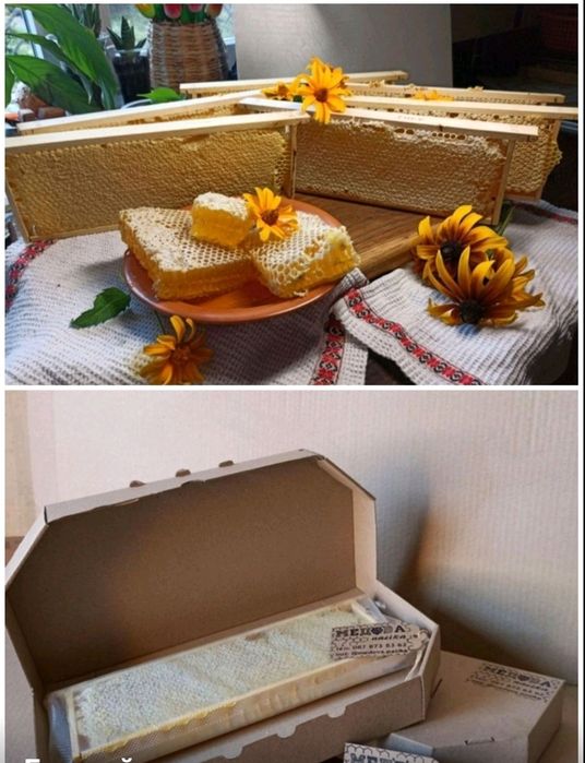 МЁД, 3 л. мед, мёд в сотах, мед в стільниках