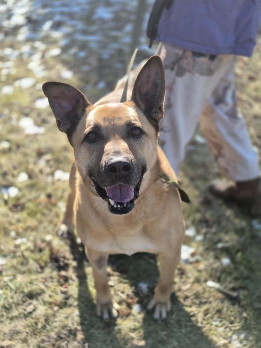 Czaruś poleca się do adopcji