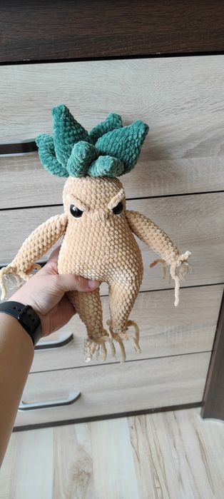 Mandragora z Harrego Pottera