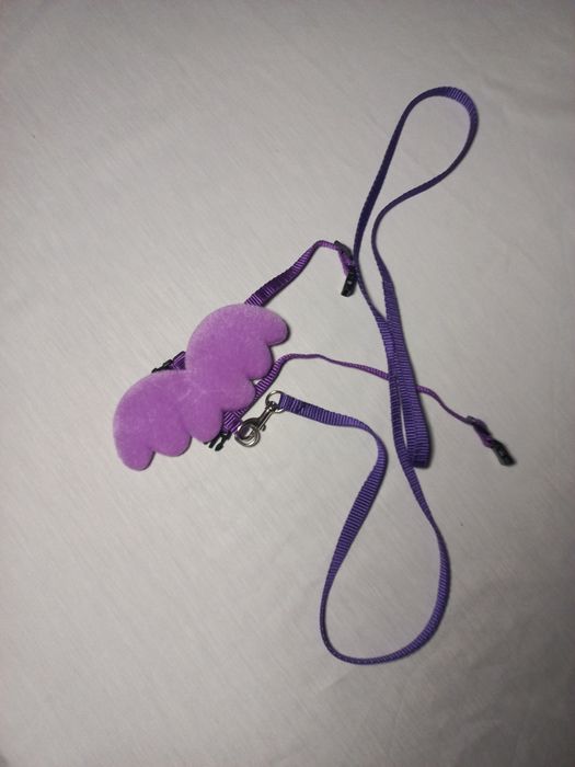 Повідок для декоративного кролика