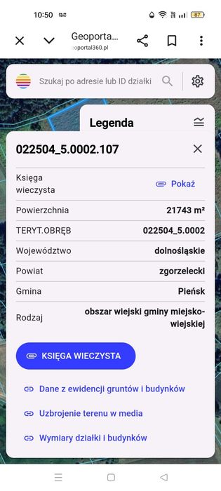 Wydzierżawię 10ha