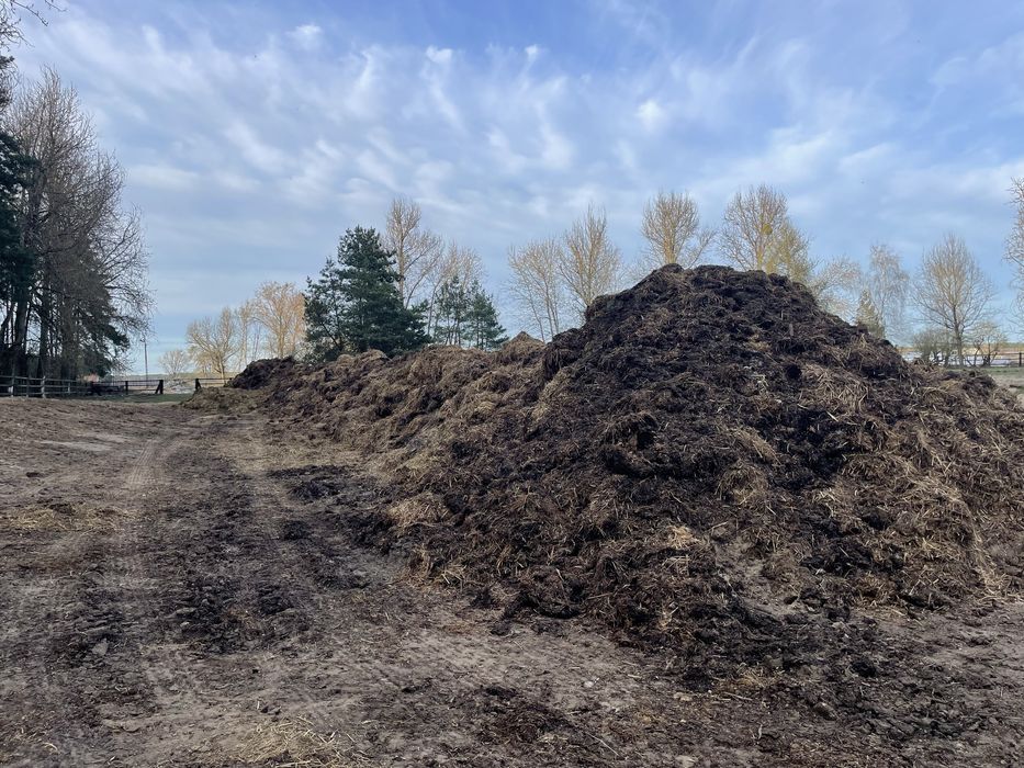 Obornik koński pryzmowany