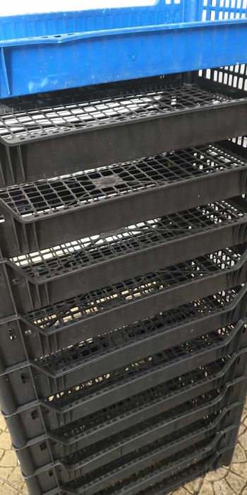 12 caixotes 50 X 29 X 9 cm