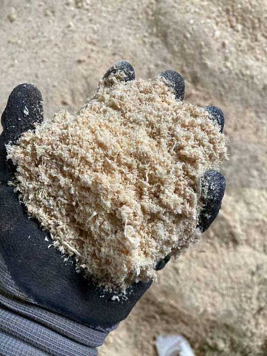 Тирса Крупная и Мелкая