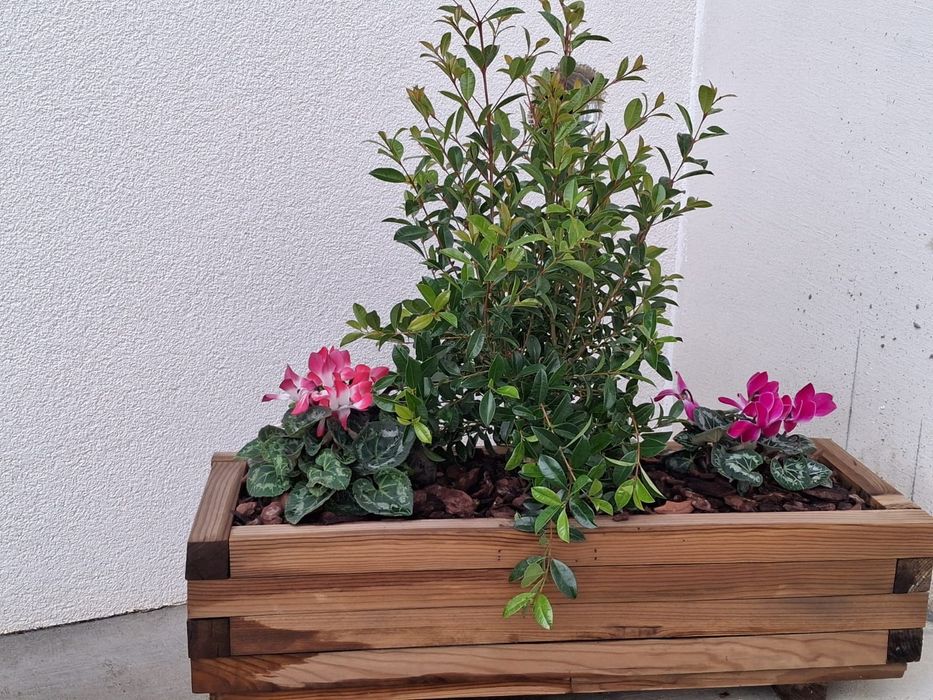 Carpintarias exteriores