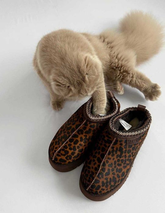 Угги UGG Tasman на платформі леопардові з хутром жіночі (36-40)