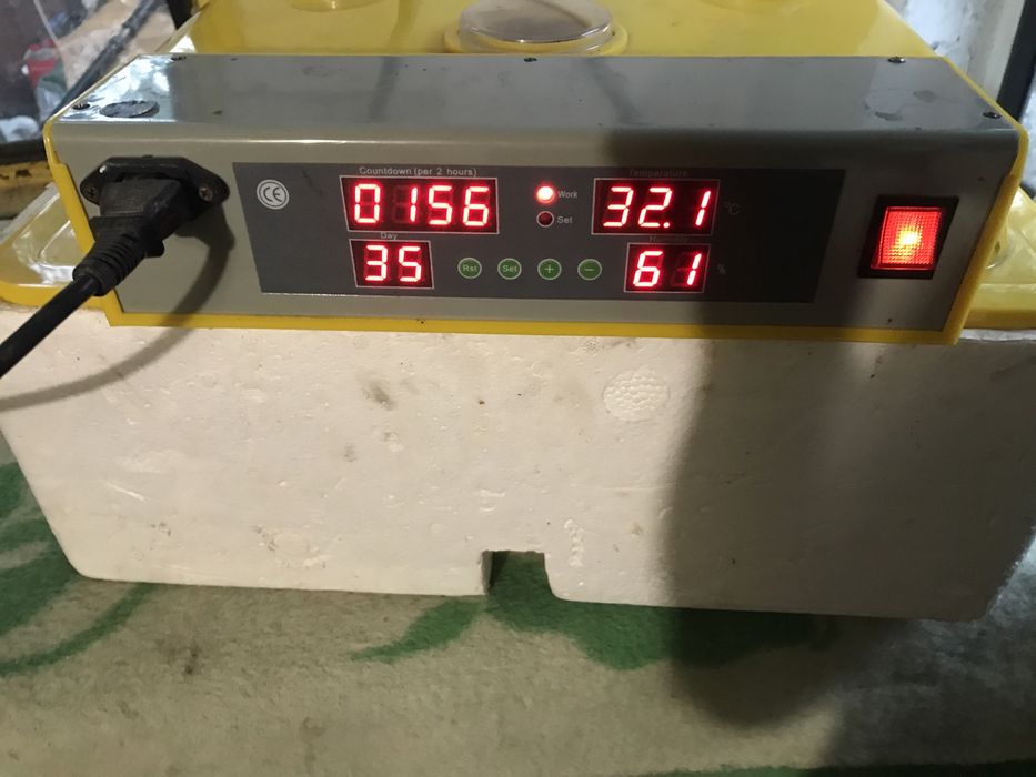 Інкубатор 36 яєць