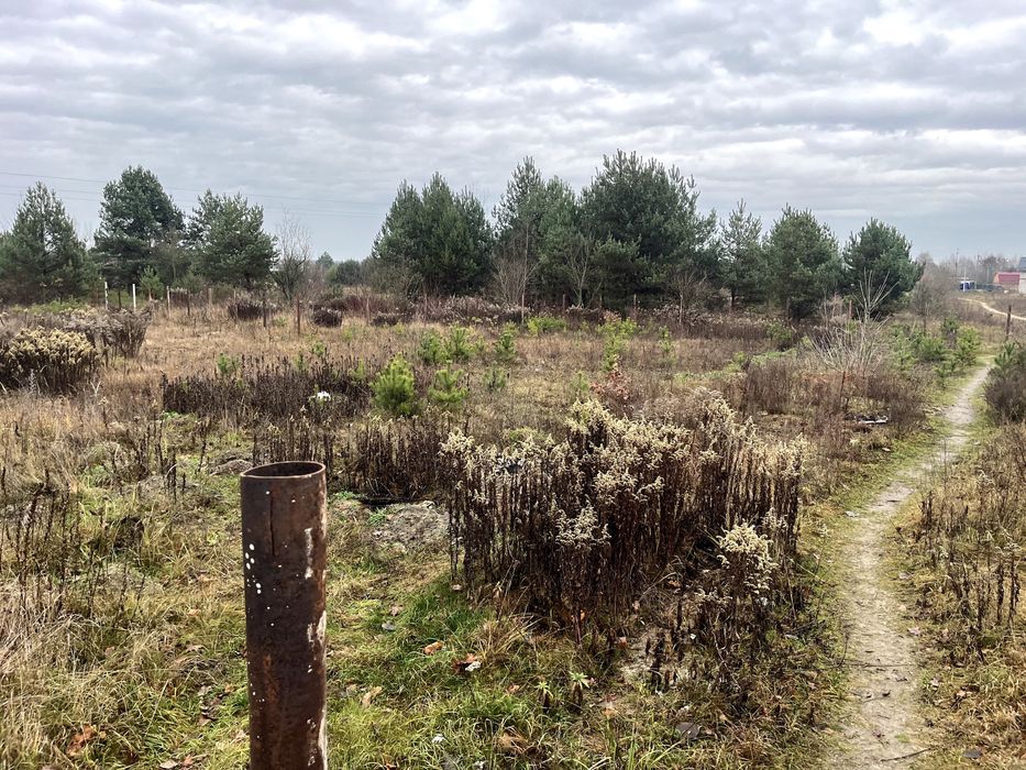 № продаж Земельної ділянка 6 сот біля хвойного лісу, Кам’яна Гора