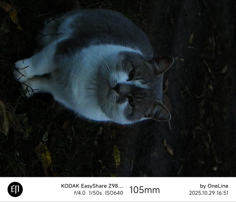 Фотоапарат Kodak