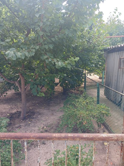 Здається будинок Балабине можна військовим