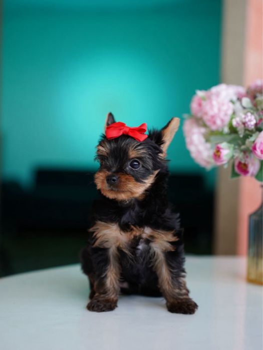 Самые красивые девочки и мальчики