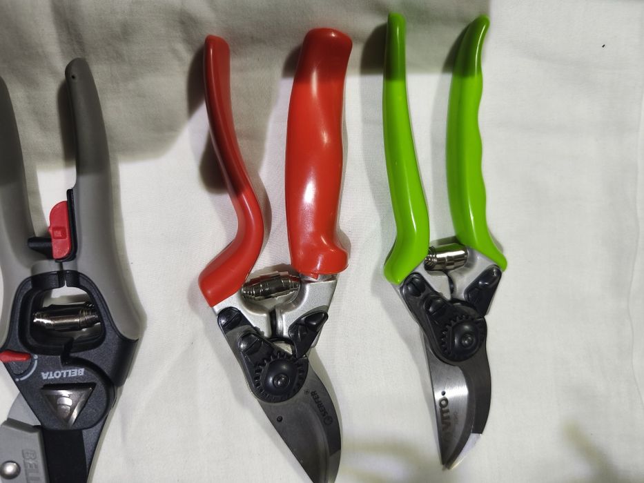 Tesouras de poda ( melhor oferta)