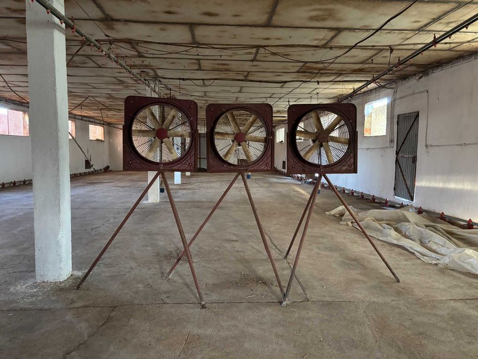 Venda de Equipamentos de Aviário – Casével, Santarém