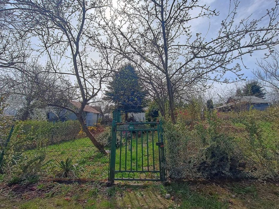 działka rekreacyjna-ogródek działkowy w ROD Nowalijka 2 (os. Na Stoku)