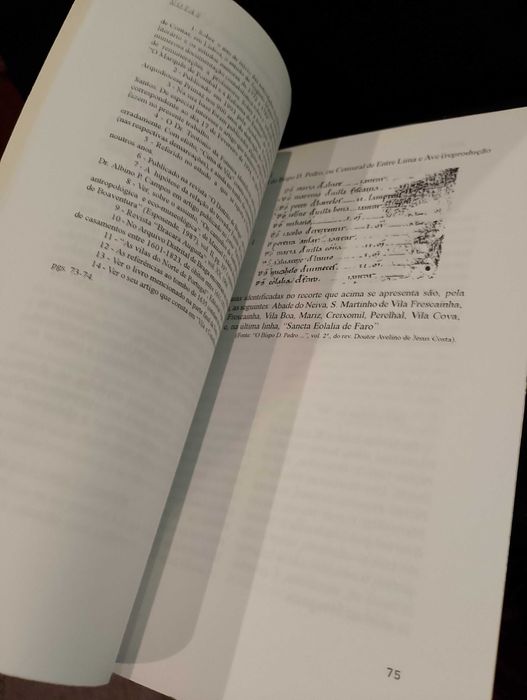 Palmeira de Faro até finais do Séc XIII - Silvestre Matos da Costa