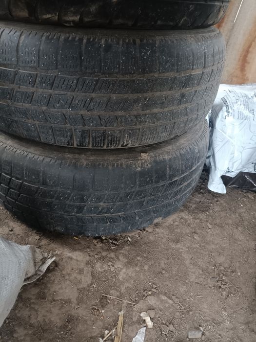 Продам ризину 15р