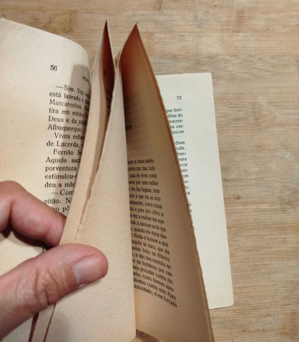 Fumos da Índia de Henrique Lopes de Mendonça