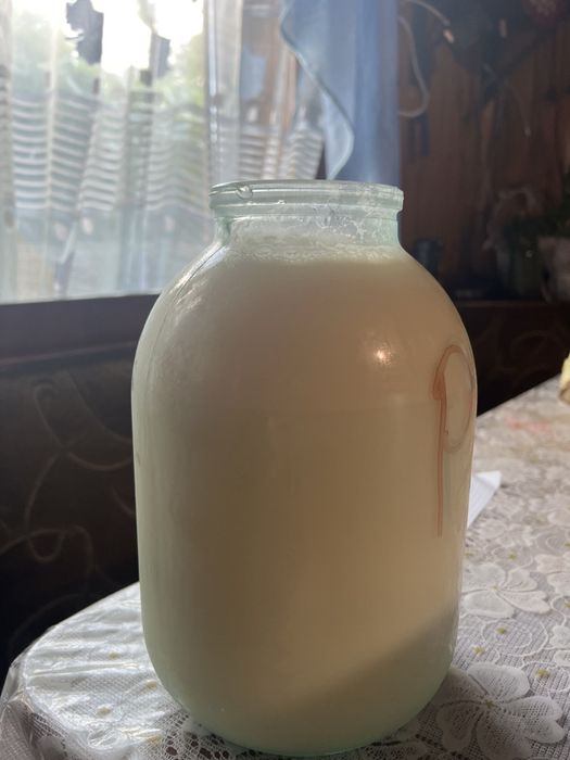 Продається корова
