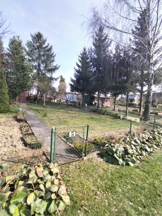Sprzedam Dzialke 300m . Gorki Ustowskie ul. Poludniowa Szczecin - Widok 6