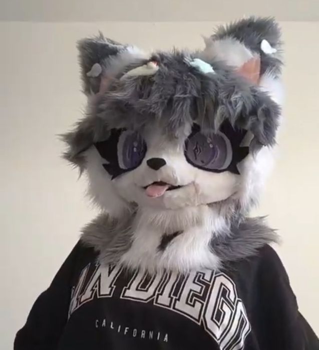 Furry Fursuit kemono cat